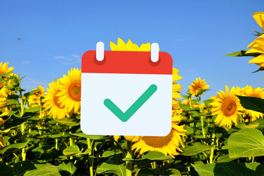 Sztuka odliczania dni